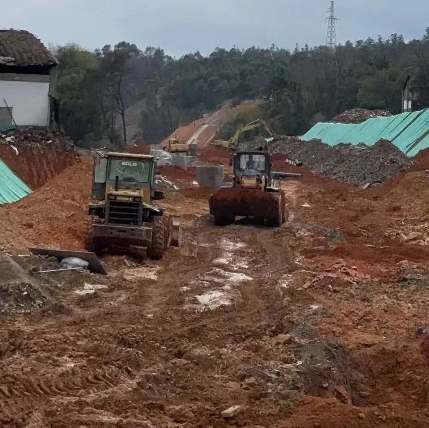 1742173725158185.jpg 2.jpg