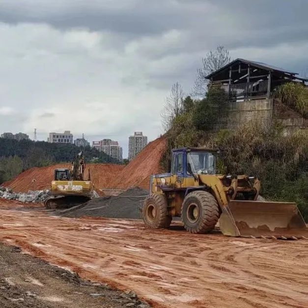 1742173754205246.jpg 4.jpg