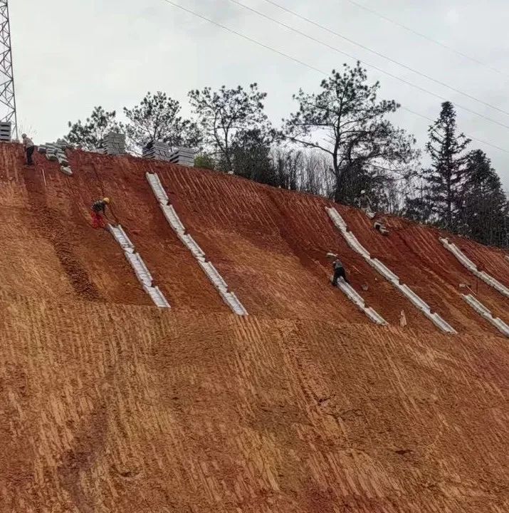 1742173766143107.jpg 5.jpg